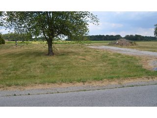 Property photo 7 - 41 +/- Acres Offered in 2 Tracts - Tillable Land & Building Site
